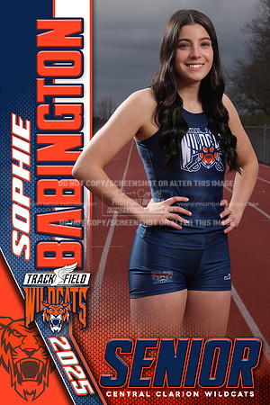 24x36 7M1A1245 SophiaBabington SRBANNER copy