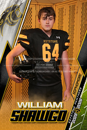 6x9 7M1A8567 WilliamShawgo copy
