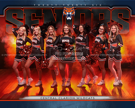 10x8_2025-2026 Wildcat Cheer TM copy
