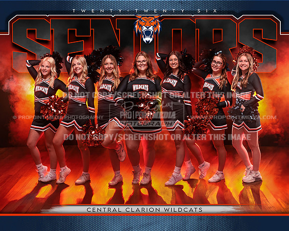 10x8_2025-2026 Wildcat Cheer TM copy