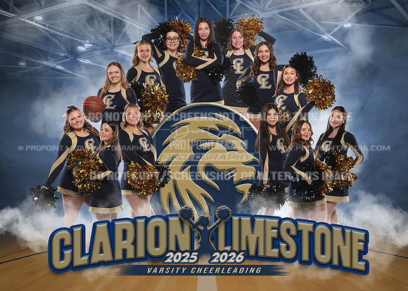 7x5 25-26 Varsity CL Cheer TM copy
