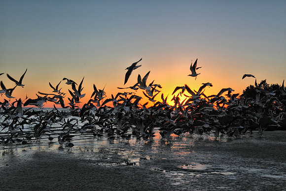 Fort Island Gulf Beach, Citrus County