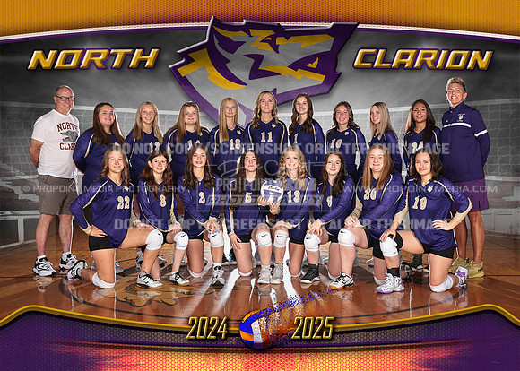 7x5_7M1A6049_NCvolleyball TM copy
