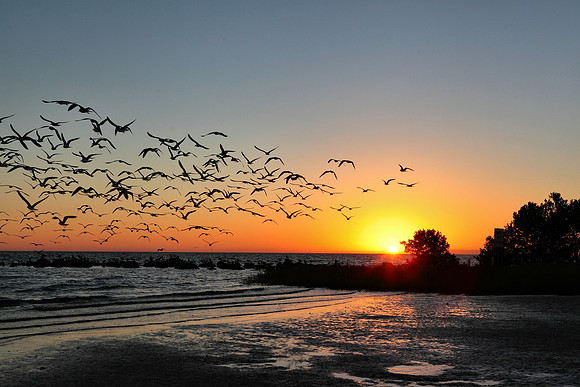 Fort Island Gulf Beach, Citrus County