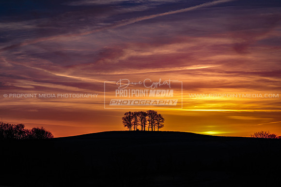 Clarion Oaks Golf Course-Late March Sunrise