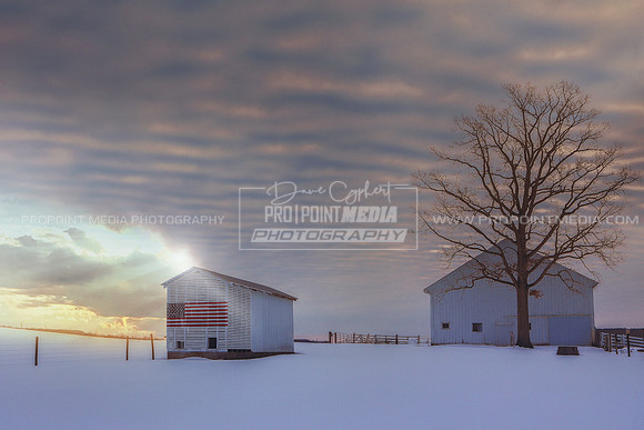 Lone Oak Farm-Venango County