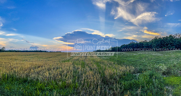 Lucinda, PA