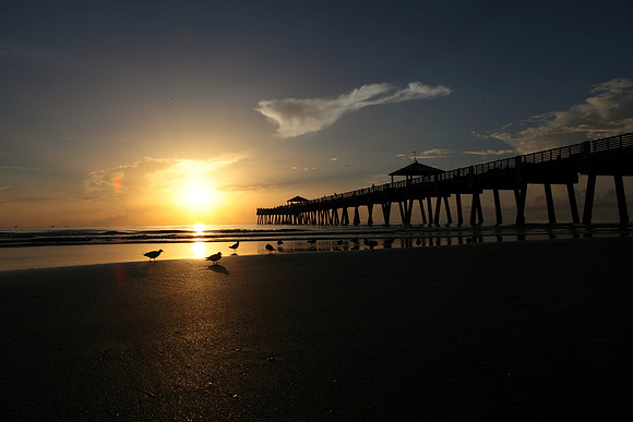 Juno Beach Pier
