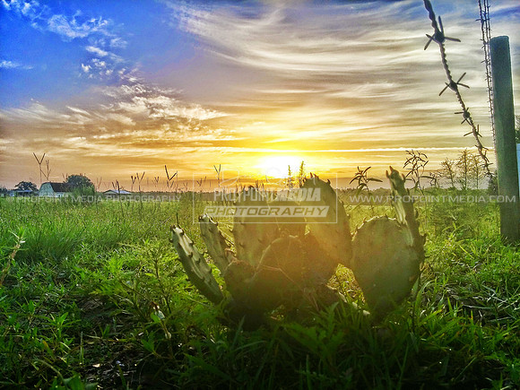 Brooksville, Fkorida