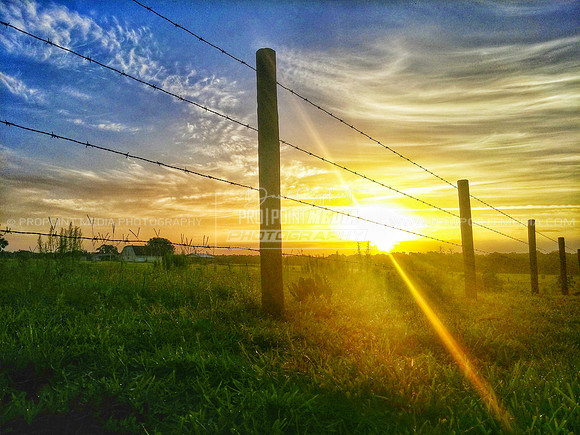 Brooksville, Fkorida
