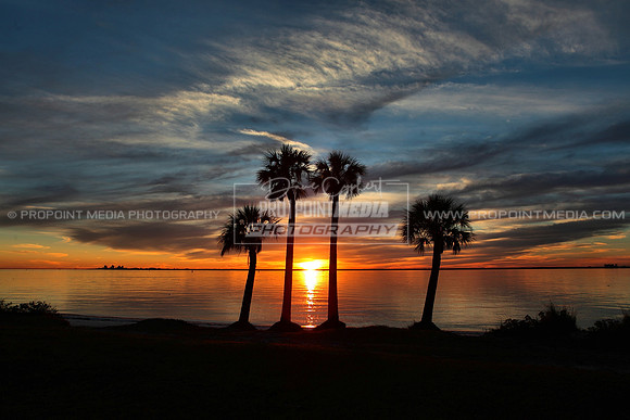 South Tampa, Florida