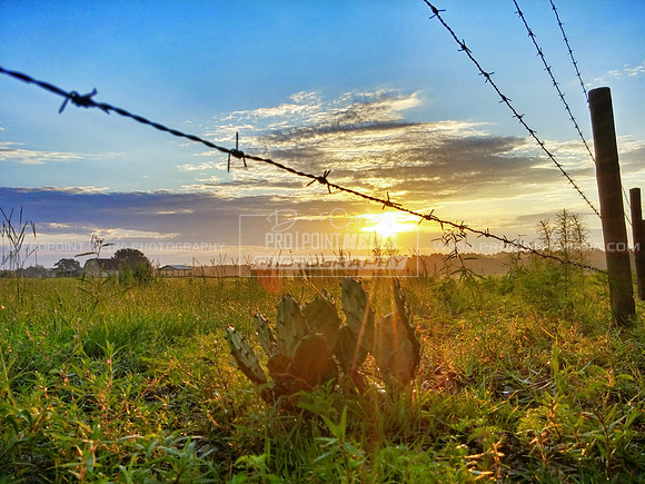 Brooksville, Fkorida