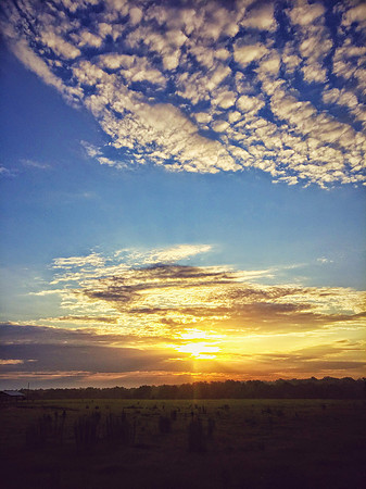 Brooksville, Florida