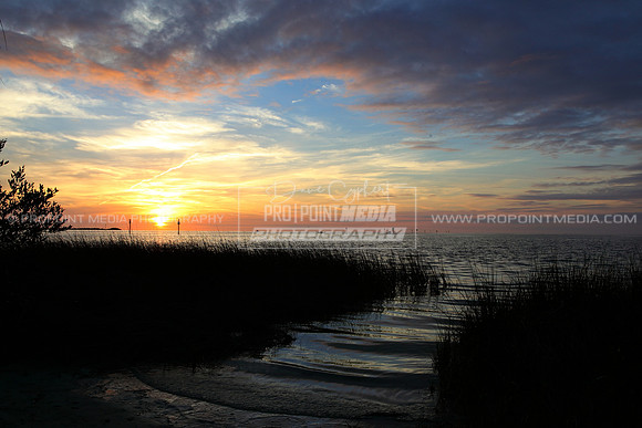 Pine Island, Florida