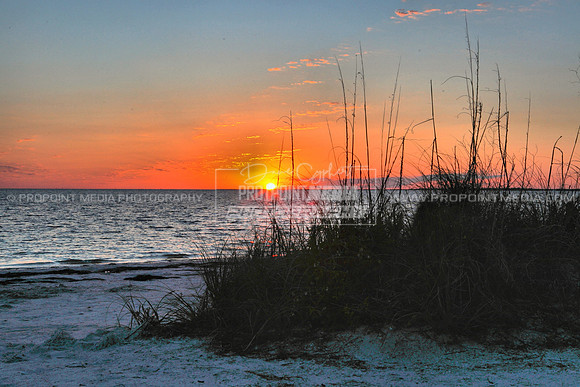 Tarpon Springs, Florida