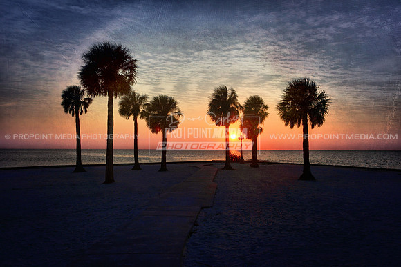 Pine Island, Florida