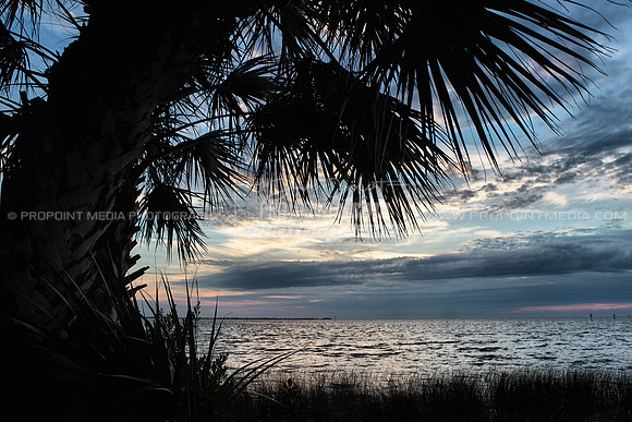 Pine Island, Florida