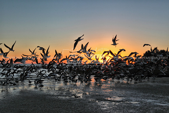 Citrus County, Florida