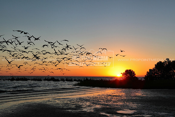 Citrus County, Florida
