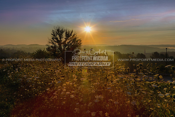 Hazy Summer Sunset