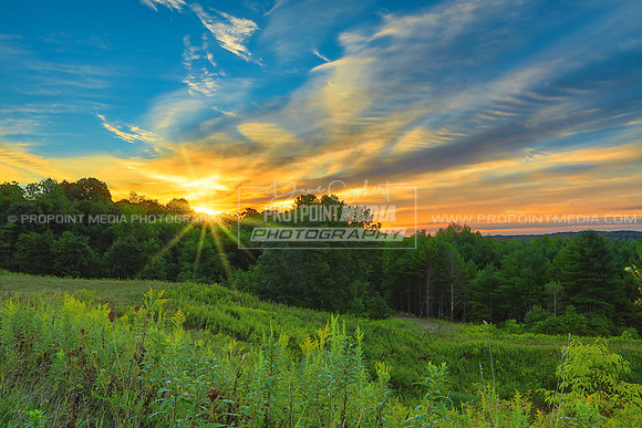 Spring Sunrise