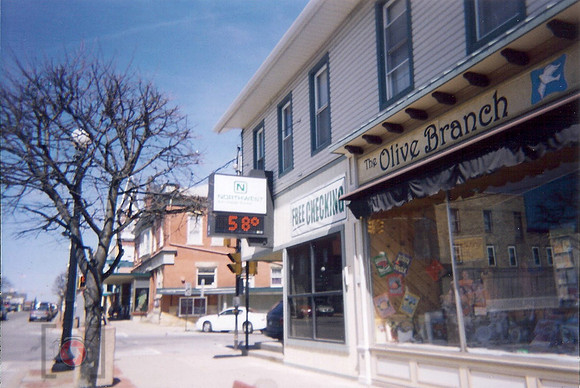olive branch 2