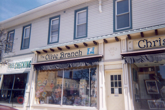 olive branch 3