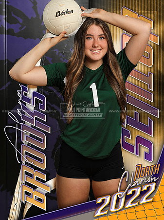 36x48 Banner Composite