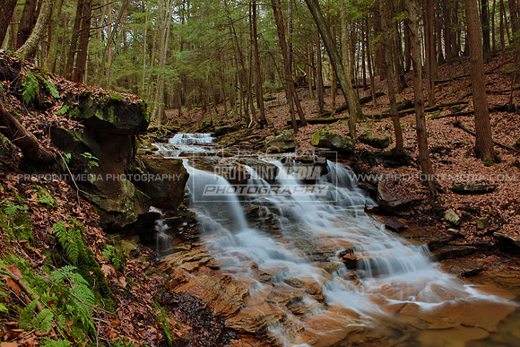 Clarion | Crystal Falls at Rapp Run