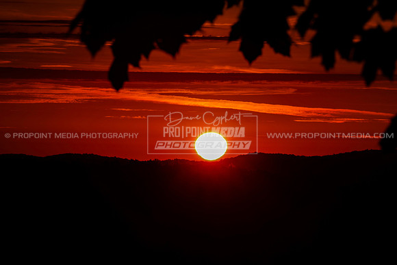 Summer Sunrise