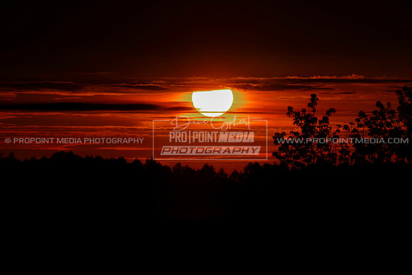 Summer Sunrise