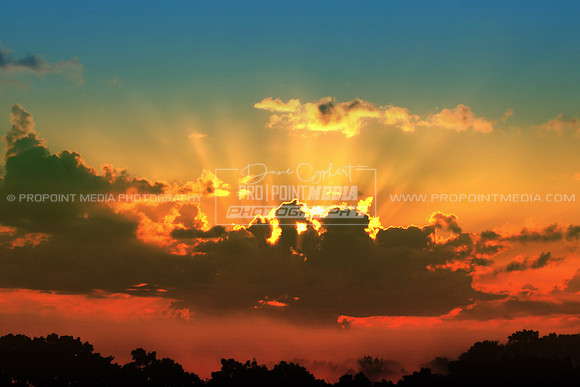 Summer Sunrise