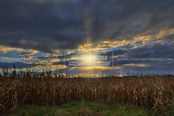 Autumn Sunset