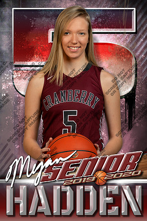 24x36, 12x18 or 6x9