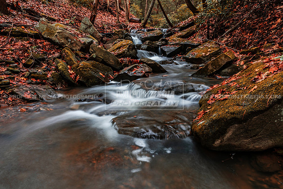 Brookville, PA