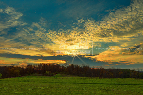 Clarion Sunrise