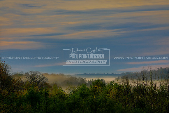 Sunrise Fog