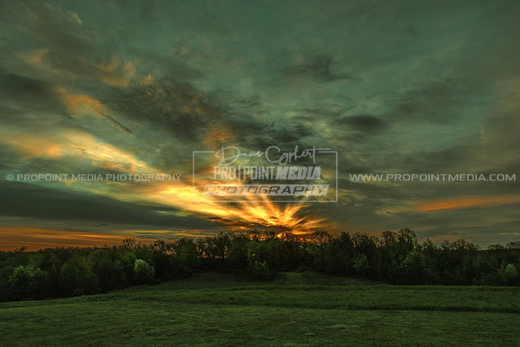 Sunrise Burst