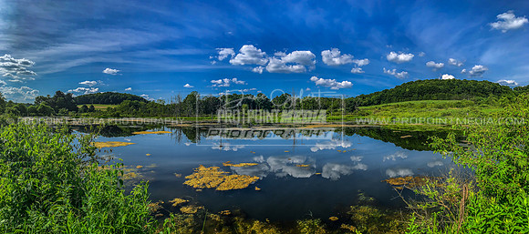 Pilgrimham, PA Panorama