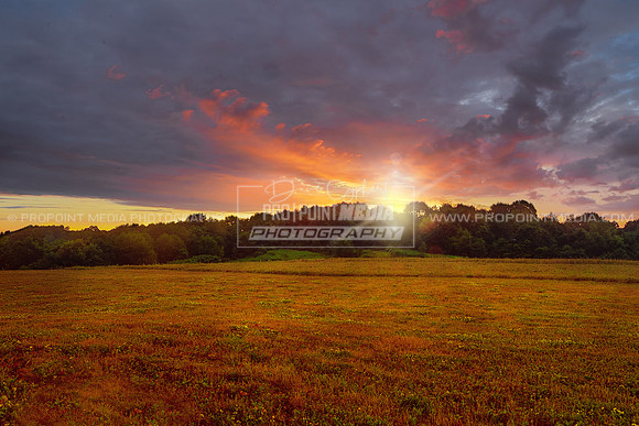 Clarion Sunrise