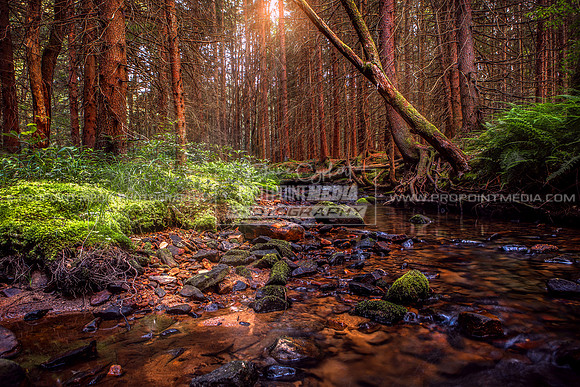Clear Creek State Park | Beartown Rocks Sunset