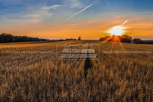 Zacherl’s Farm Market Sunset
