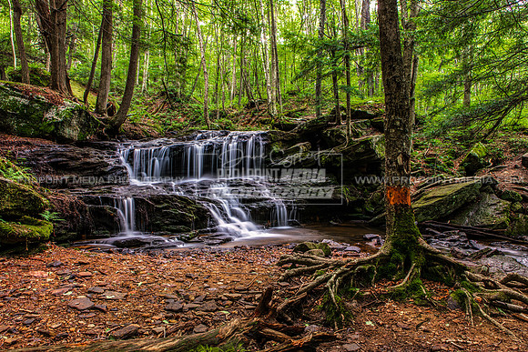 Logan Falls