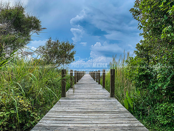 Currituck Sound, Corolla, NC