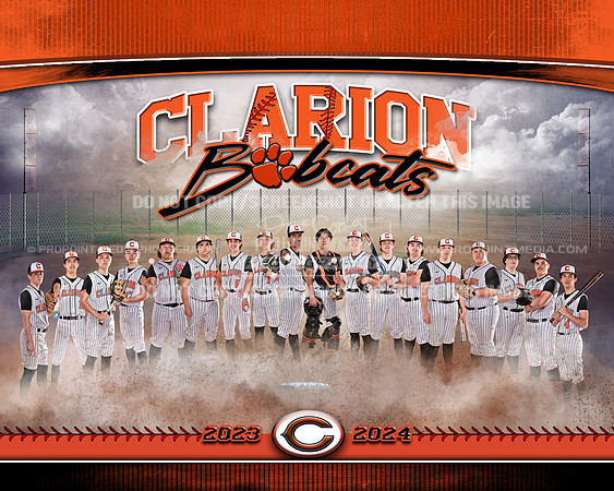 10x8_2024BobcatBaseball_TM copy