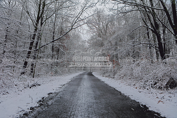 Winter Country Road