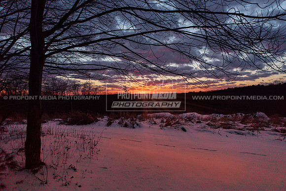 Shippenville Sunset