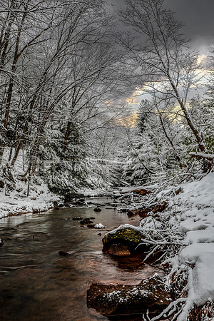 Cook Forest | Toms Run