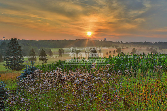 Sunrise at Clarion Oaks Golf Course