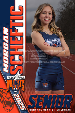 24x36 7M1A1276 MorganSheftic SRBANNER copy